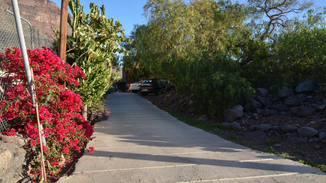 Casita La Palmera 巴耶格兰雷伊 外观 照片